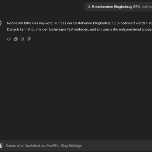 Bildschirmfoto 2024-08-03 um 17.51.46 Texte SEO optimieren mit ChatGPT